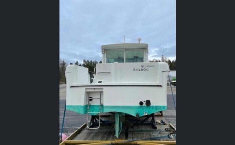 Jeanneau Muu malli-kuva-11